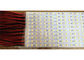 PC-steifes geführtes helles Streifen DC 5V SMD5630 IP20 LED Randstreifen-144
