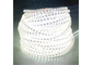 Perlen-im Freien einzelne Reihe Höhepunkt Dimmable LED Neonbeleuchtungs-108